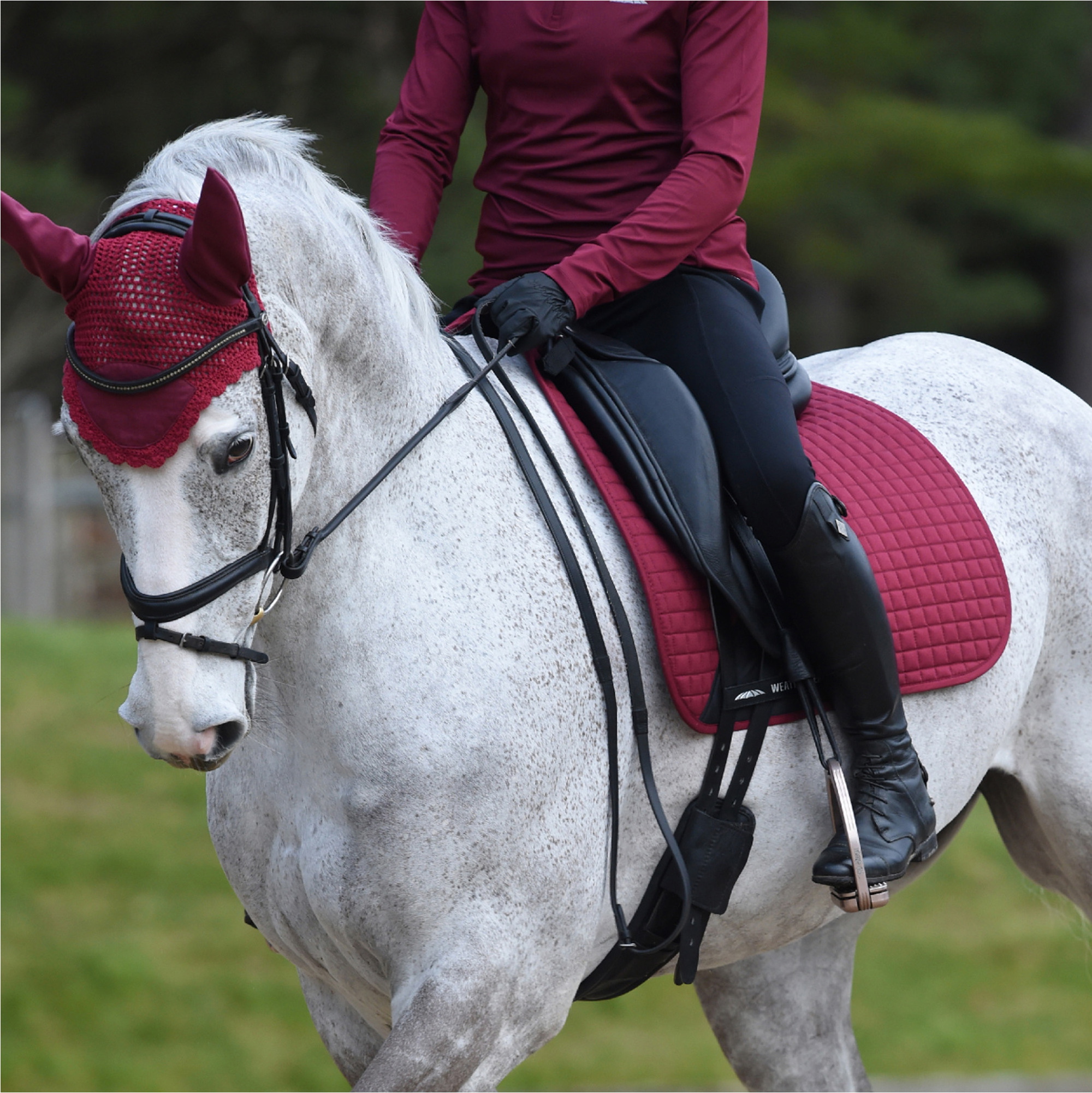 Weatherbeeta Prime Ear Bonnet - Maroon